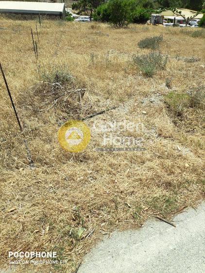 Αγροτεμάχιο στην Μάταλα, Τυμπάκι — Φωτογραφία 7 από 30