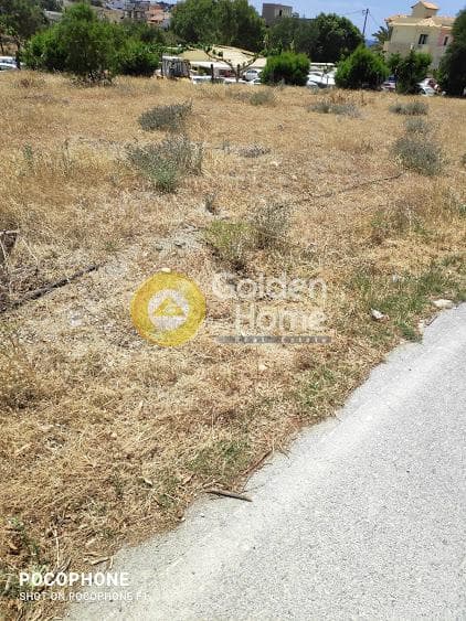 Αγροτεμάχιο στην Μάταλα, Τυμπάκι — Φωτογραφία 9 από 30