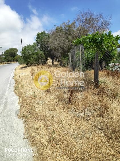 Αγροτεμάχιο στην Μάταλα, Τυμπάκι — Φωτογραφία 14 από 30