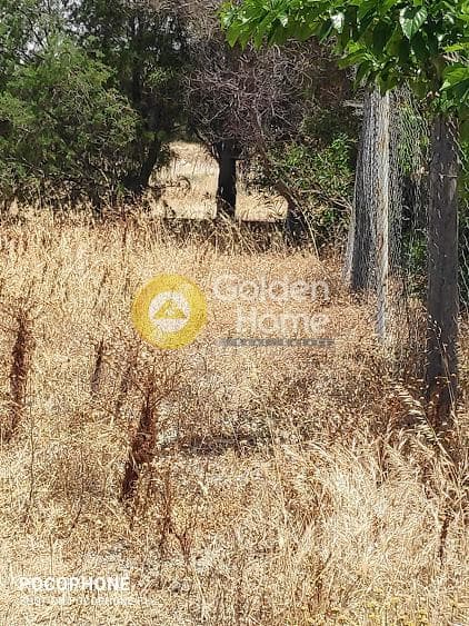 Αγροτεμάχιο στην Μάταλα, Τυμπάκι — Φωτογραφία 19 από 30