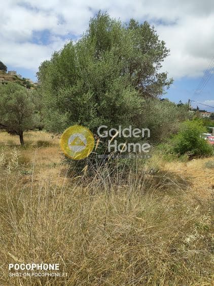 Αγροτεμάχιο στην Μάταλα, Τυμπάκι — Φωτογραφία 29 από 30