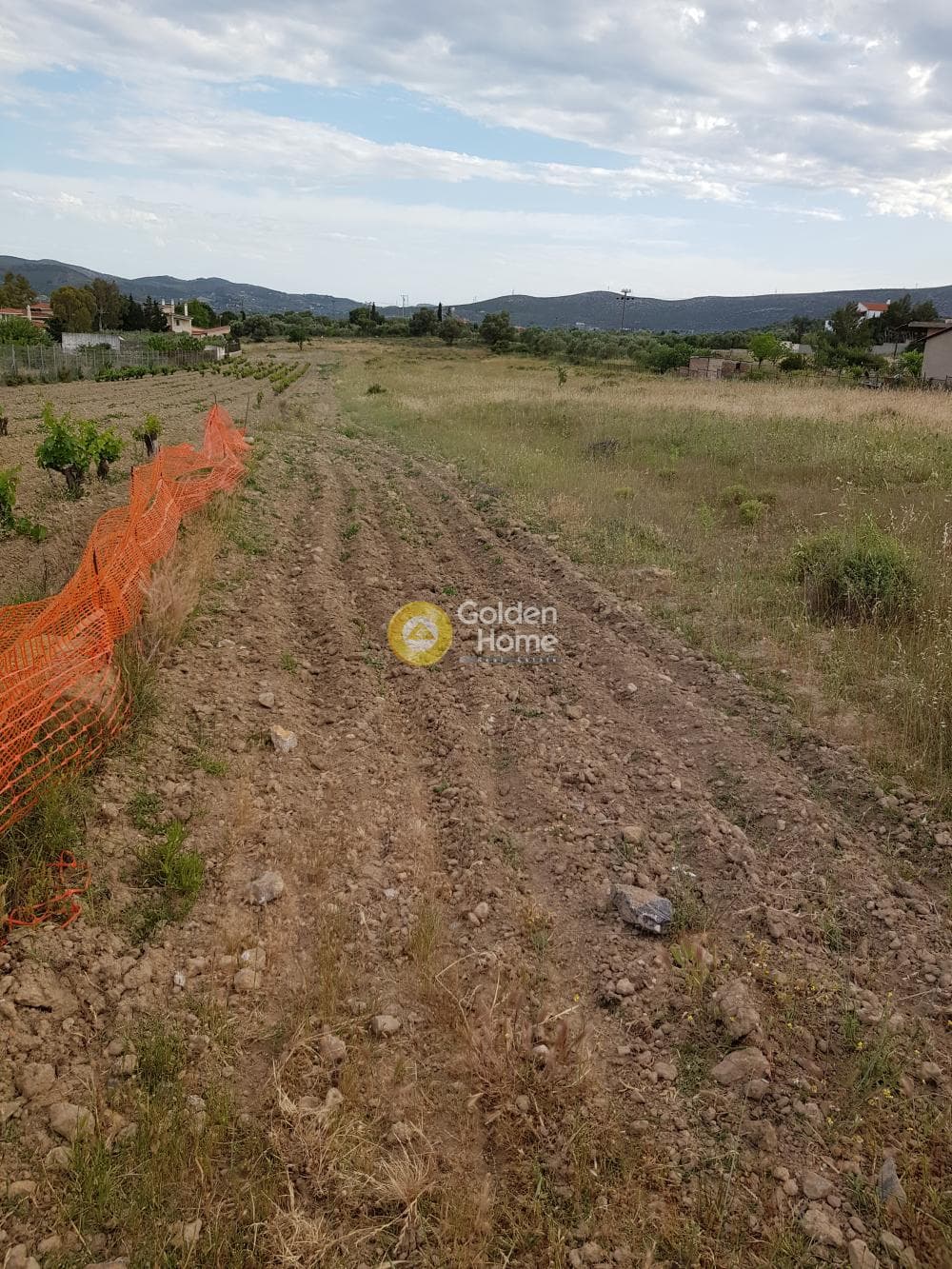 Αγροτεμάχιο στην Ρουντζέρι Λεμπρού, Κερατέα — Φωτογραφία 2 από 3