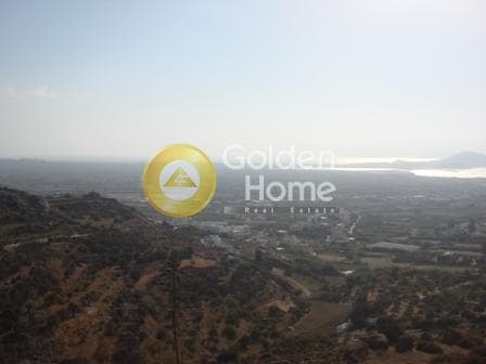 Parcel in Agkidia, Naxos — Photo 2 of 5