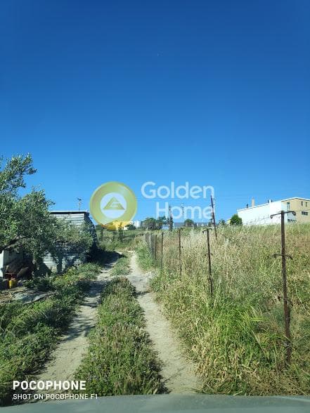 Αγροτεμάχιο στην Αμπελά, Αρχάνες — Φωτογραφία 2 από 30