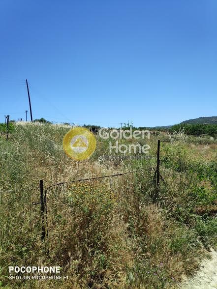 Αγροτεμάχιο στην Αμπελά, Αρχάνες — Φωτογραφία 5 από 30