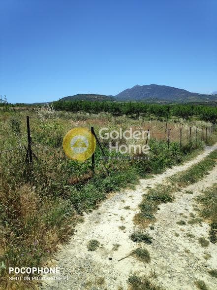 Αγροτεμάχιο στην Αμπελά, Αρχάνες — Φωτογραφία 6 από 30
