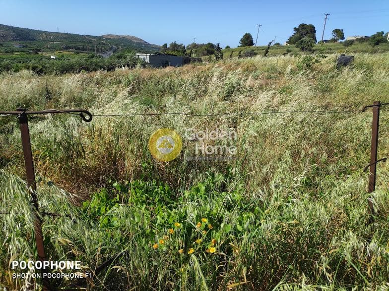 Αγροτεμάχιο στην Αμπελά, Αρχάνες — Φωτογραφία 9 από 30