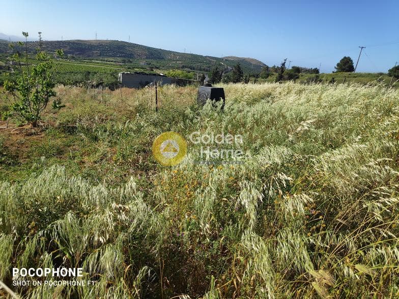 Αγροτεμάχιο στην Αμπελά, Αρχάνες — Φωτογραφία 23 από 30