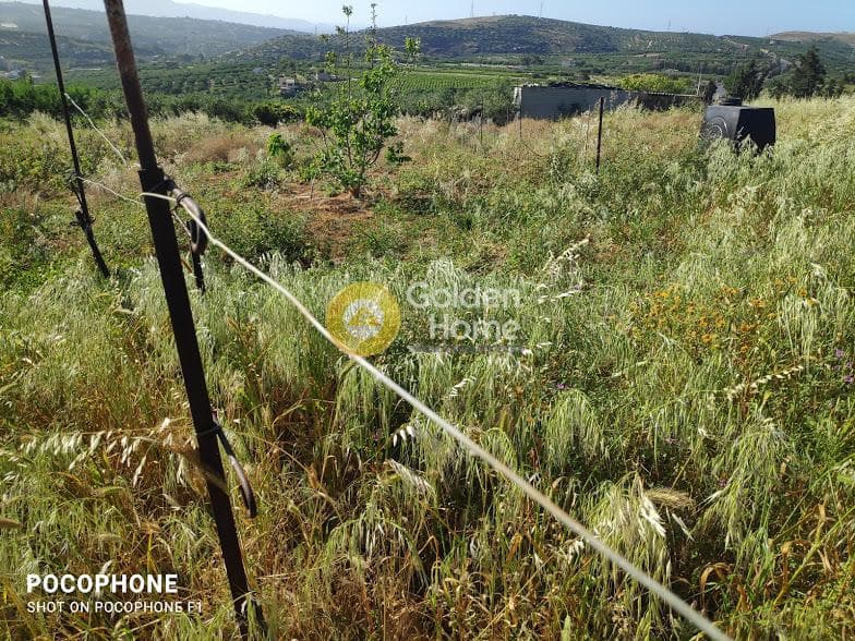 Αγροτεμάχιο στην Αμπελά, Αρχάνες — Φωτογραφία 24 από 30