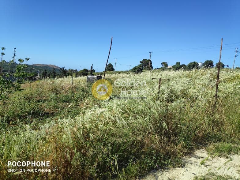 Αγροτεμάχιο στην Αμπελά, Αρχάνες — Φωτογραφία 26 από 30