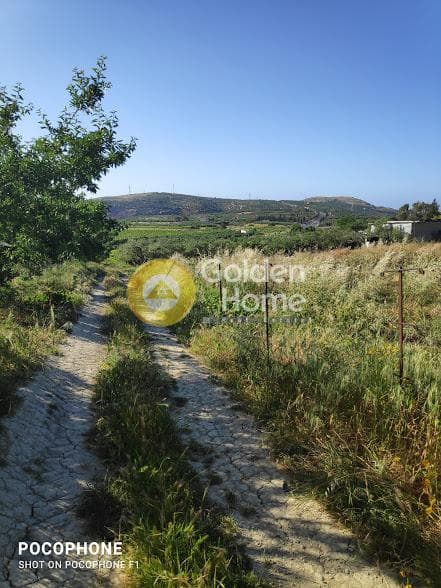 Αγροτεμάχιο στην Αμπελά, Αρχάνες — Φωτογραφία 30 από 30