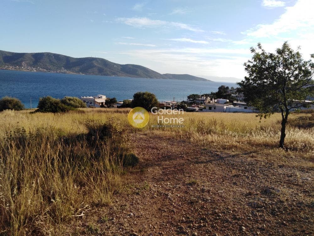 Αγροτεμάχιο στην Ρέστη, Σαλαμίνα — Φωτογραφία 1 από 2