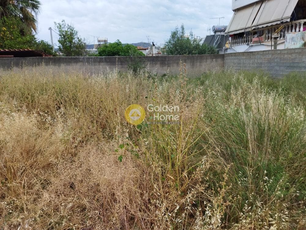 Building Plot in Center, Salamina — Photo 2 of 2