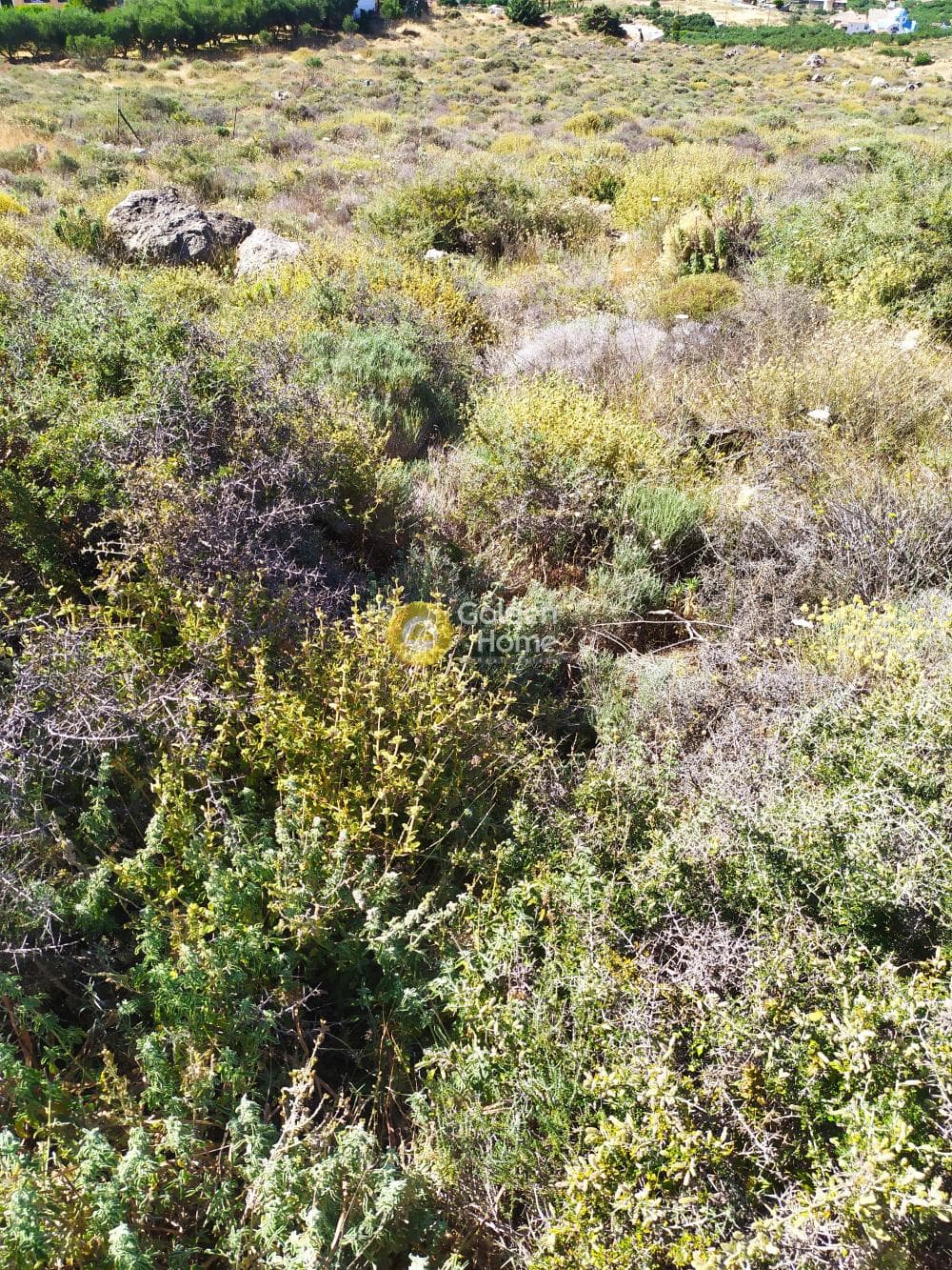 Οικόπεδο στην Βαθειανός Κάμπος, Γούβες — Φωτογραφία 7 από 11