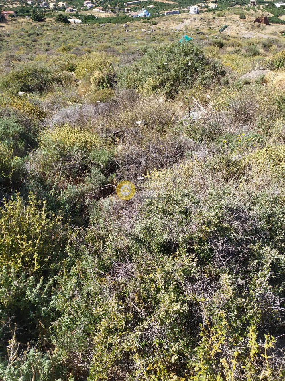 Οικόπεδο στην Βαθειανός Κάμπος, Γούβες — Φωτογραφία 10 από 11
