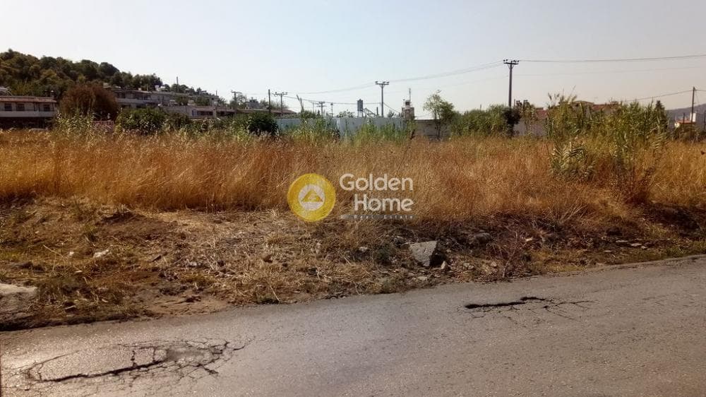 Αγροτεμάχιο στην Μεγάλα Σχοινία Α, Αχαρνές — Φωτογραφία 3 από 11