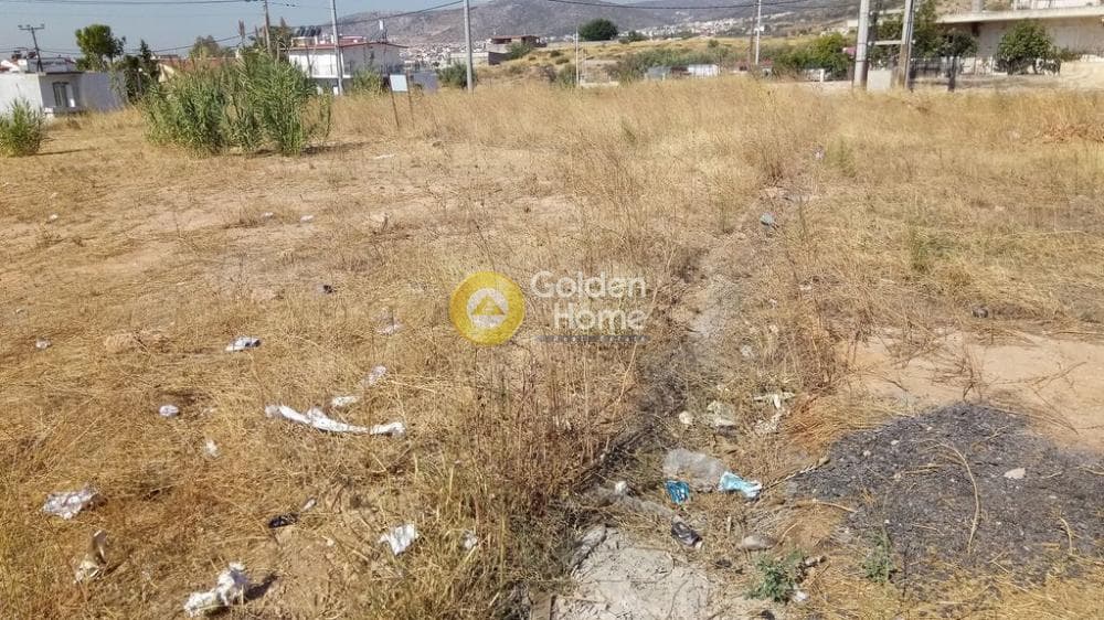 Αγροτεμάχιο στην Μεγάλα Σχοινία Α, Αχαρνές — Φωτογραφία 4 από 11