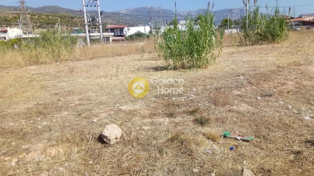 Αγροτεμάχιο στην Μεγάλα Σχοινία Α, Αχαρνές — Φωτογραφία 6 από 11