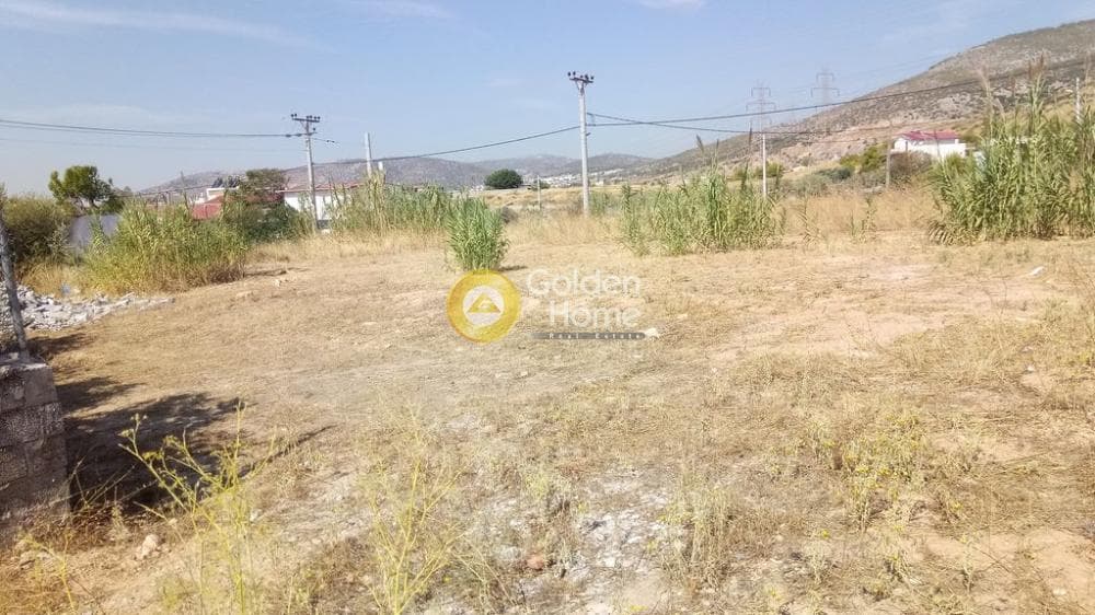 Αγροτεμάχιο στην Μεγάλα Σχοινία Α, Αχαρνές — Φωτογραφία 7 από 11