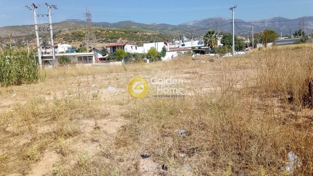 Αγροτεμάχιο στην Μεγάλα Σχοινία Α, Αχαρνές — Φωτογραφία 11 από 11