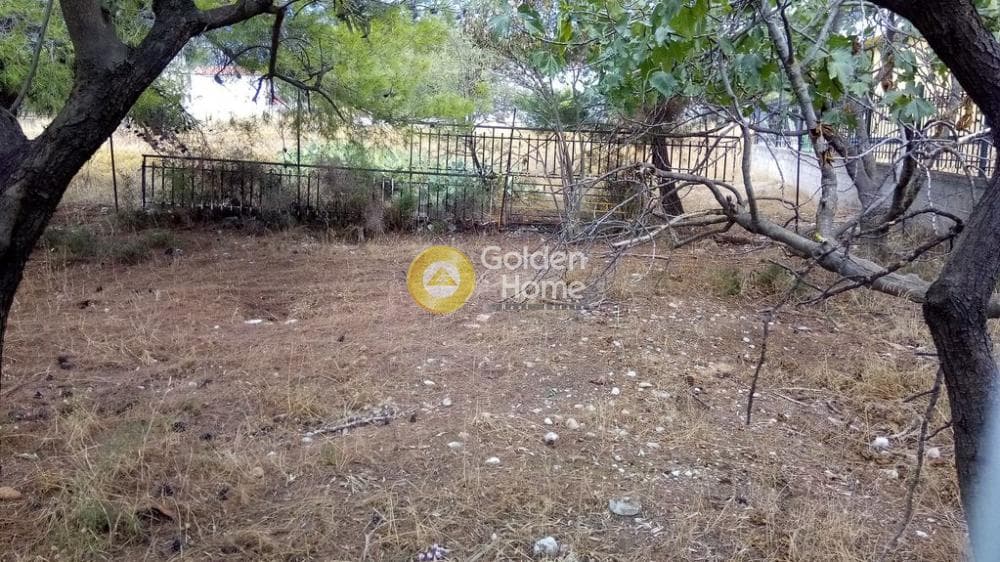Parcel in Megala Sxoinia A, Acharnes — Photo 2 of 7