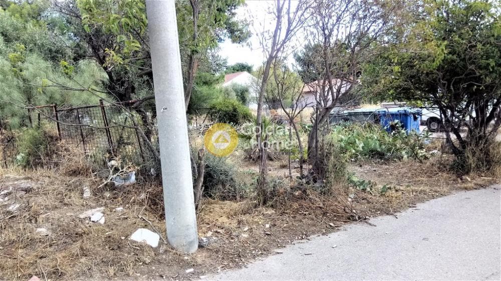 Parcel in Megala Sxoinia A, Acharnes — Photo 3 of 7
