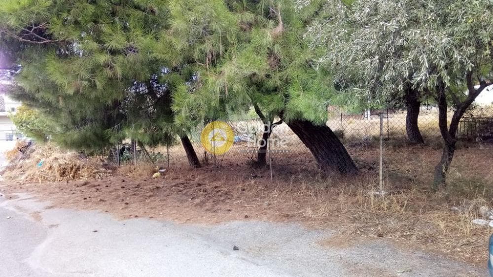 Parcel in Megala Sxoinia A, Acharnes — Photo 1 of 7