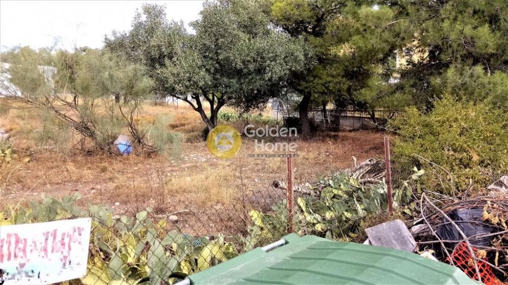 Parcel in Megala Sxoinia A, Acharnes — Photo 6 of 7