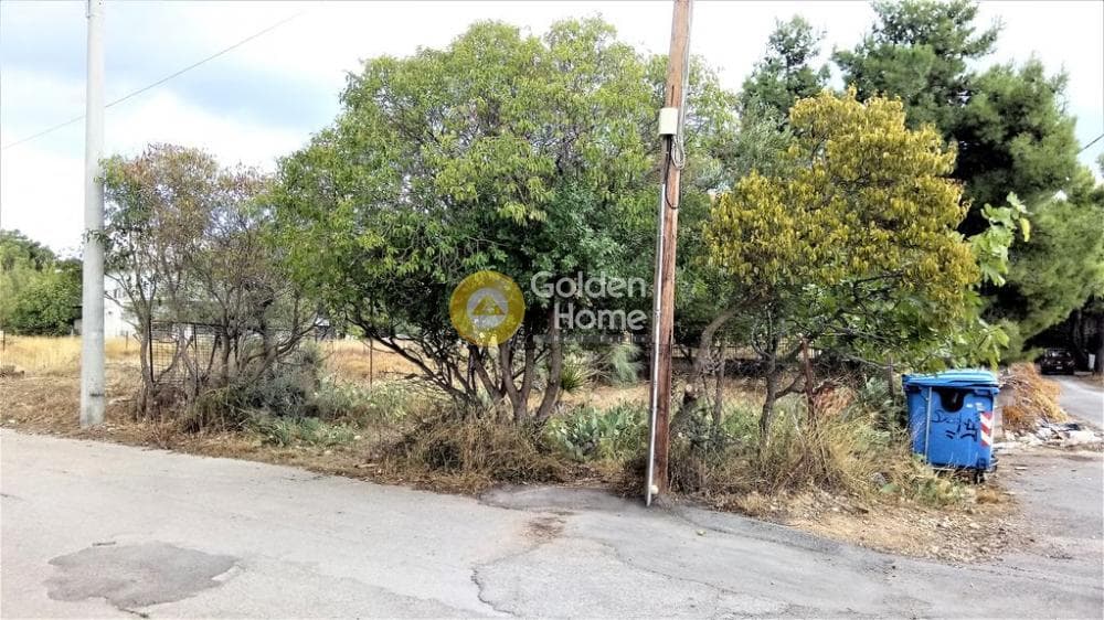 Parcel in Megala Sxoinia A, Acharnes — Photo 5 of 7