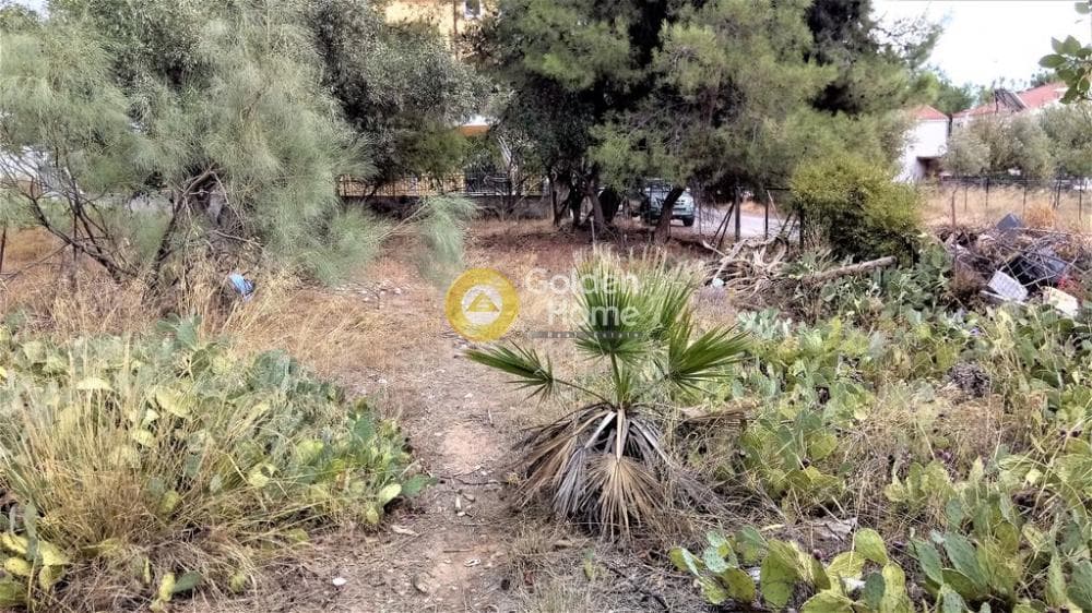 Parcel in Megala Sxoinia A, Acharnes — Photo 7 of 7