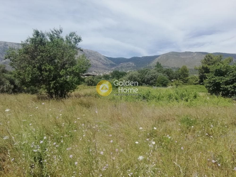 Οικόπεδο στην Αγία Μαρίνα, Παιανία — Φωτογραφία 2 από 8