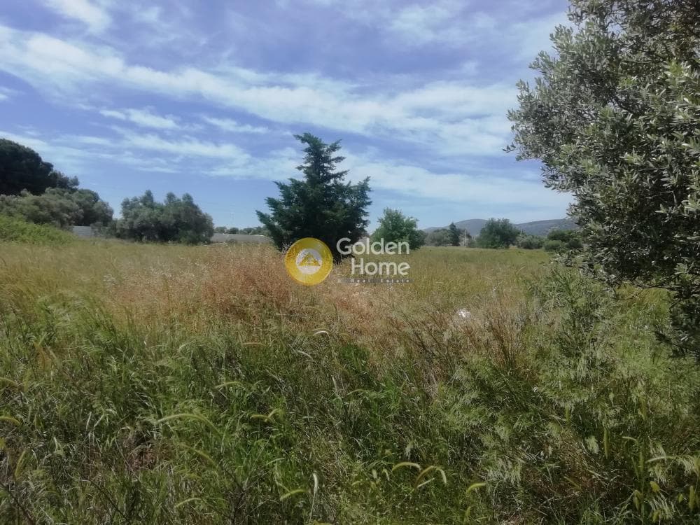 Οικόπεδο στην Αγία Μαρίνα, Παιανία — Φωτογραφία 3 από 8