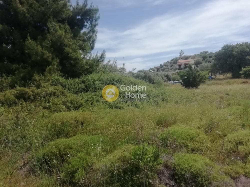 Οικόπεδο στην Αγία Μαρίνα, Παιανία — Φωτογραφία 5 από 8