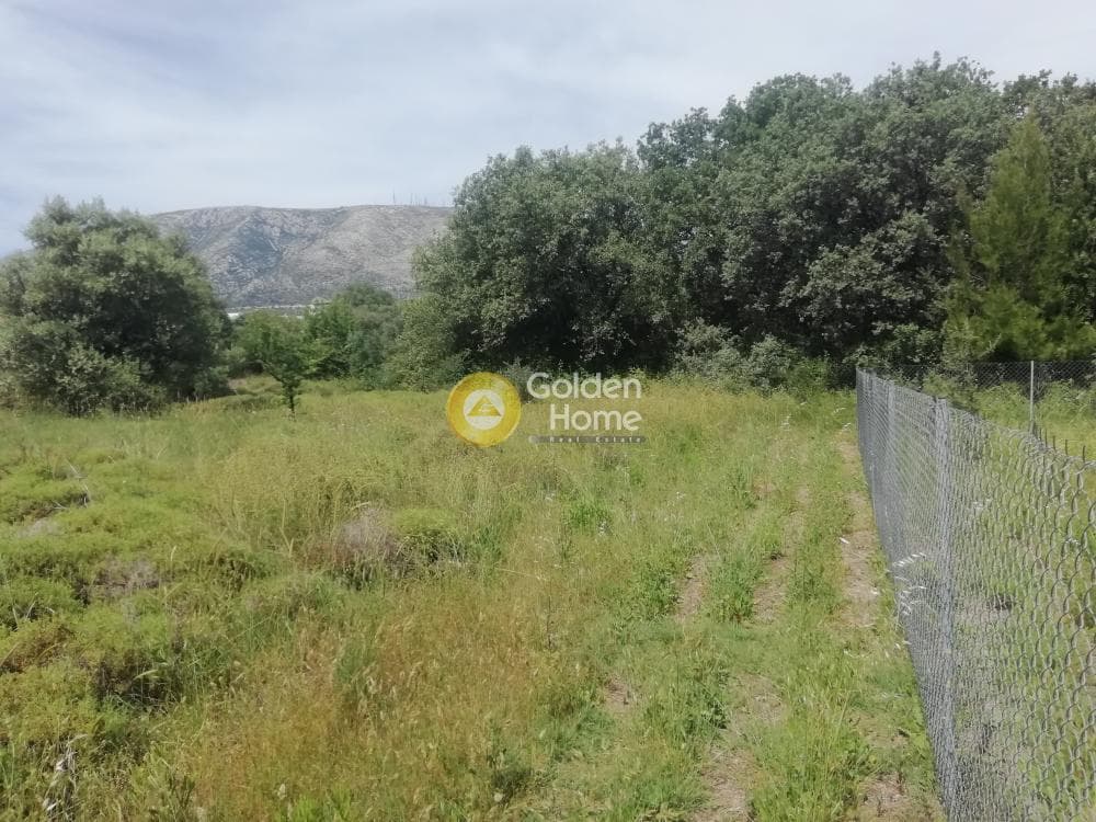Οικόπεδο στην Αγία Μαρίνα, Παιανία — Φωτογραφία 8 από 8