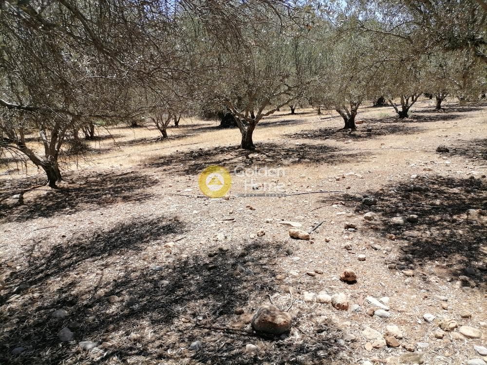 Οικόπεδο στην Μονόχωρο, Μοίρες — Φωτογραφία 1 από 20