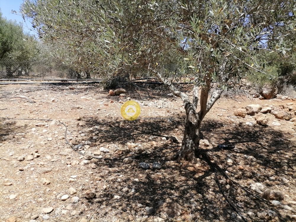Οικόπεδο στην Μονόχωρο, Μοίρες — Φωτογραφία 2 από 20