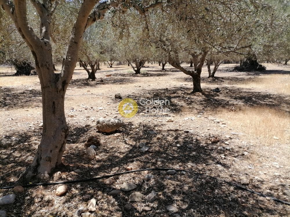 Οικόπεδο στην Μονόχωρο, Μοίρες — Φωτογραφία 3 από 20