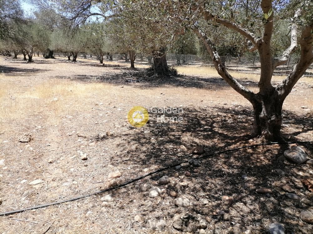 Οικόπεδο στην Μονόχωρο, Μοίρες — Φωτογραφία 4 από 20