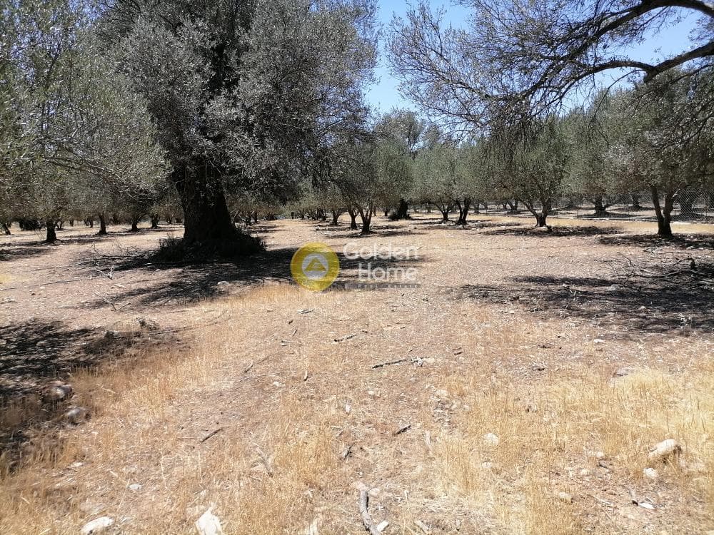 Οικόπεδο στην Μονόχωρο, Μοίρες — Φωτογραφία 5 από 20