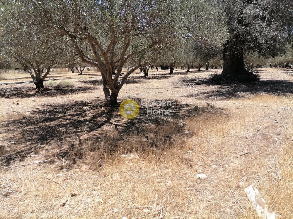Οικόπεδο στην Μονόχωρο, Μοίρες — Φωτογραφία 6 από 20