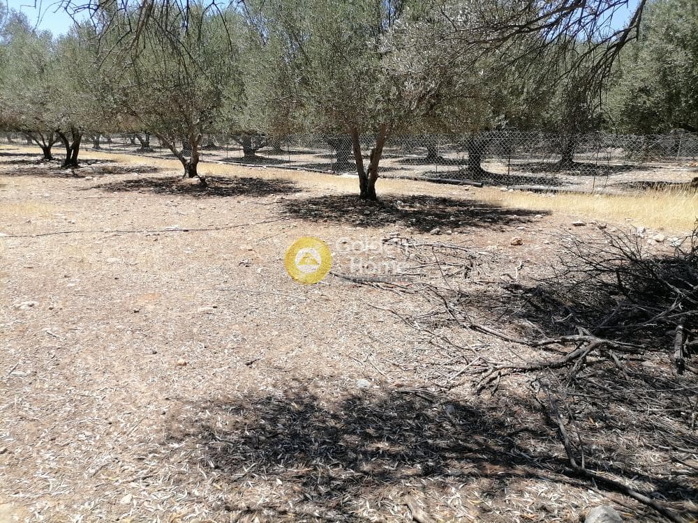 Οικόπεδο στην Μονόχωρο, Μοίρες — Φωτογραφία 7 από 20