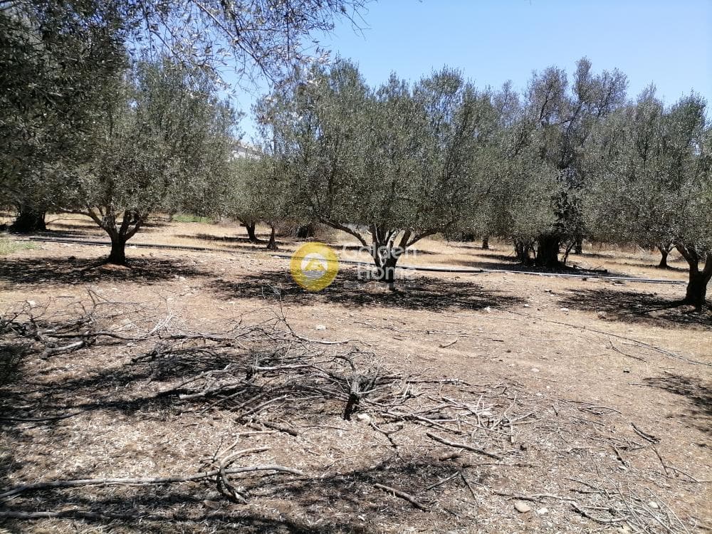Οικόπεδο στην Μονόχωρο, Μοίρες — Φωτογραφία 8 από 20