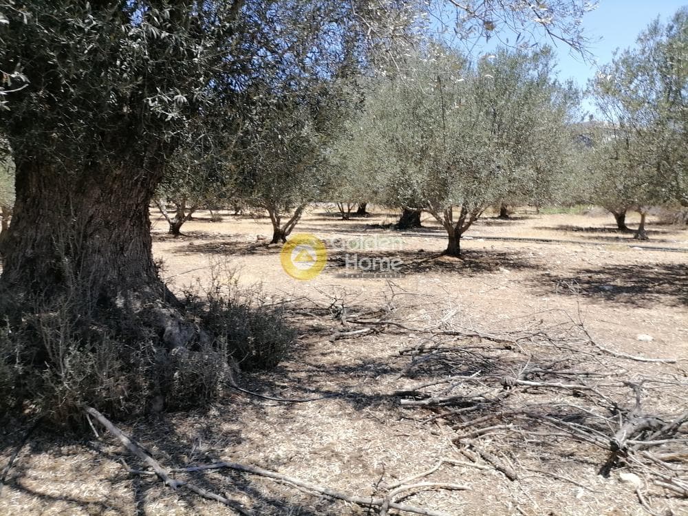 Οικόπεδο στην Μονόχωρο, Μοίρες — Φωτογραφία 9 από 20