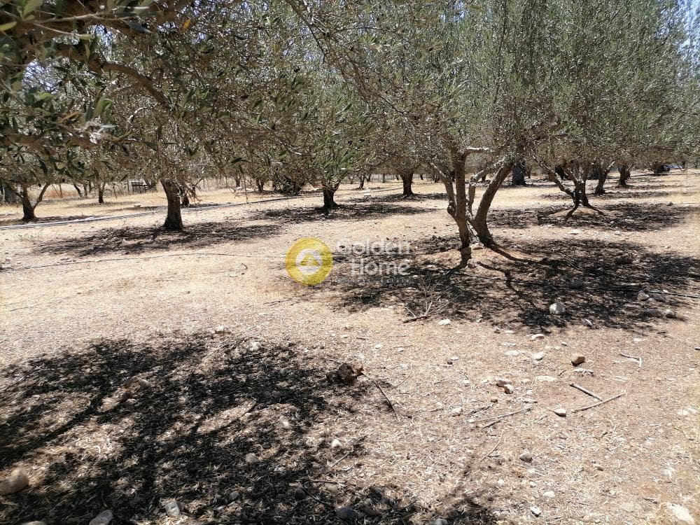 Οικόπεδο στην Μονόχωρο, Μοίρες — Φωτογραφία 10 από 20