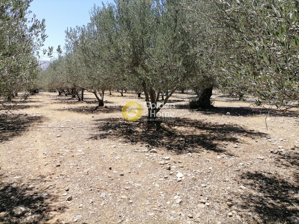 Οικόπεδο στην Μονόχωρο, Μοίρες — Φωτογραφία 11 από 20