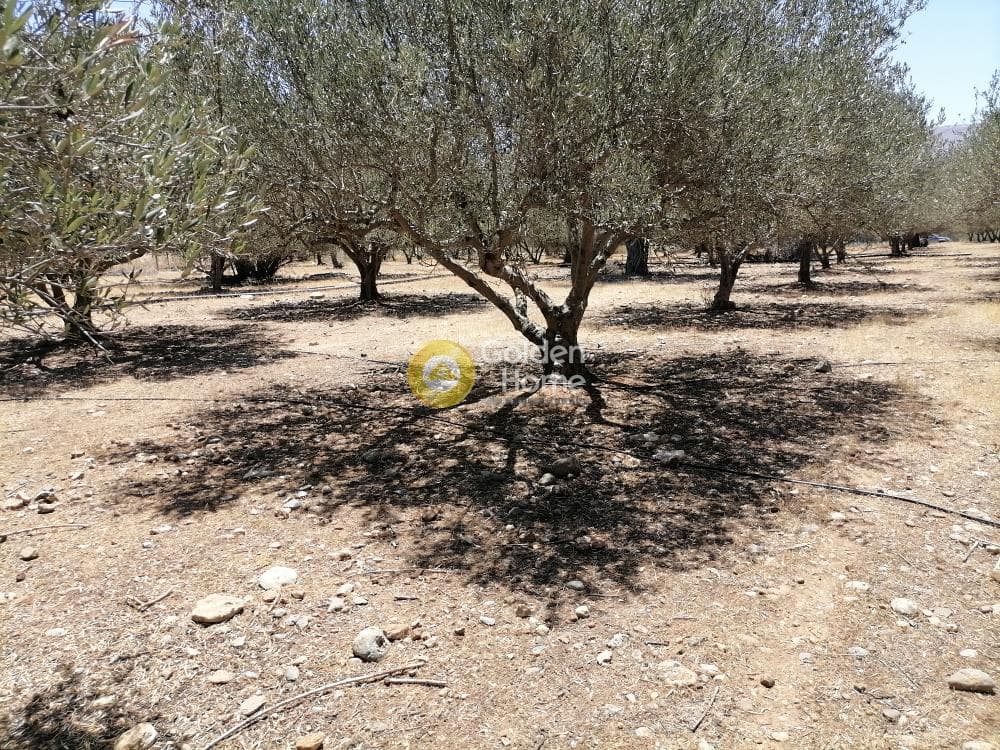 Οικόπεδο στην Μονόχωρο, Μοίρες — Φωτογραφία 12 από 20