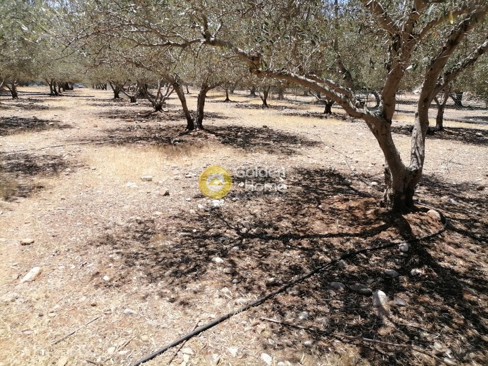 Οικόπεδο στην Μονόχωρο, Μοίρες — Φωτογραφία 13 από 20