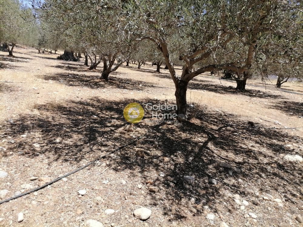 Οικόπεδο στην Μονόχωρο, Μοίρες — Φωτογραφία 14 από 20
