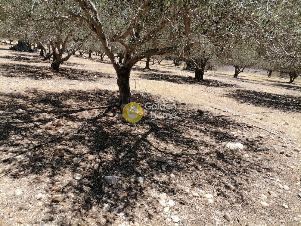 Οικόπεδο στην Μονόχωρο, Μοίρες — Φωτογραφία 15 από 20