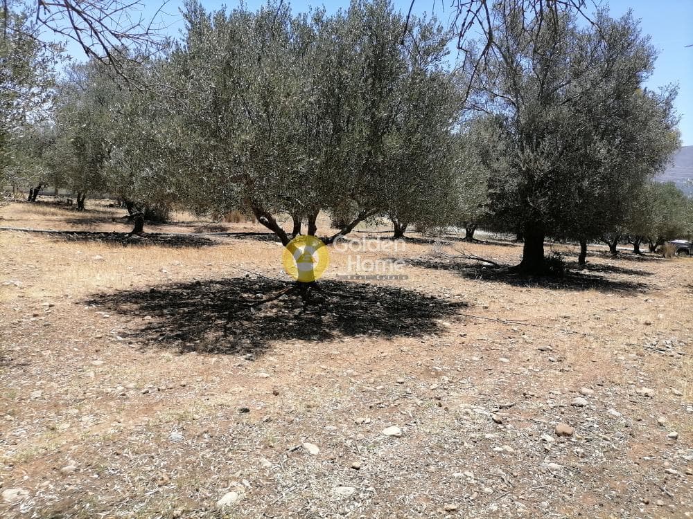 Οικόπεδο στην Μονόχωρο, Μοίρες — Φωτογραφία 16 από 20